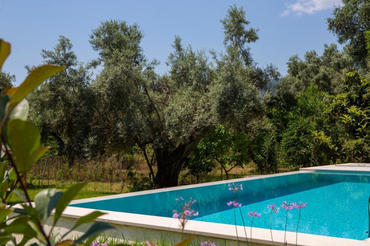 Averto Villas With Private Pool Nidrí Kültér fotó
